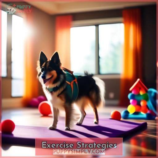 Exercise Strategies