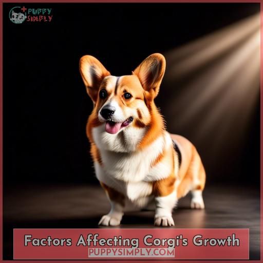 Factors Affecting Corgi's Growth
