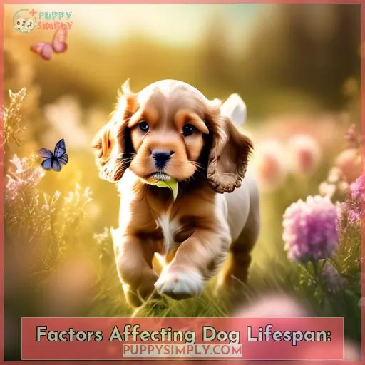 Factors Affecting Dog Lifespan: