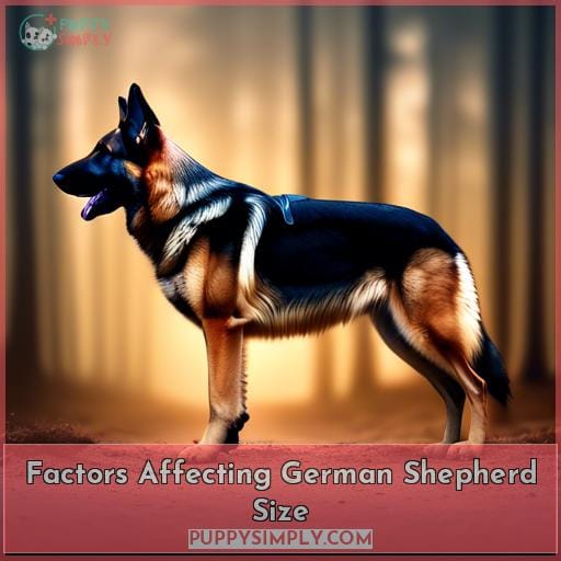 Factors Affecting German Shepherd Size