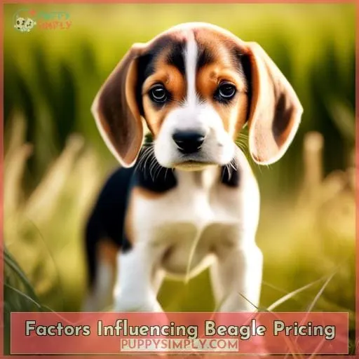 Factors Influencing Beagle Pricing