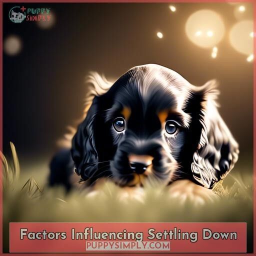 Factors Influencing Settling Down Factors Influencing Settling Down