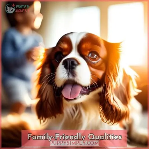 Family-Friendly Qualities