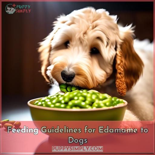 Feeding Guidelines for Edamame to Dogs