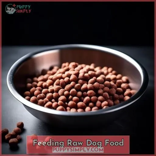 Feeding Raw Dog Food