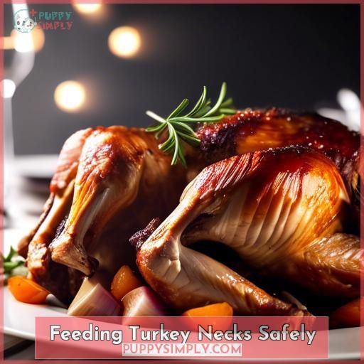 Feeding Turkey Necks Safely