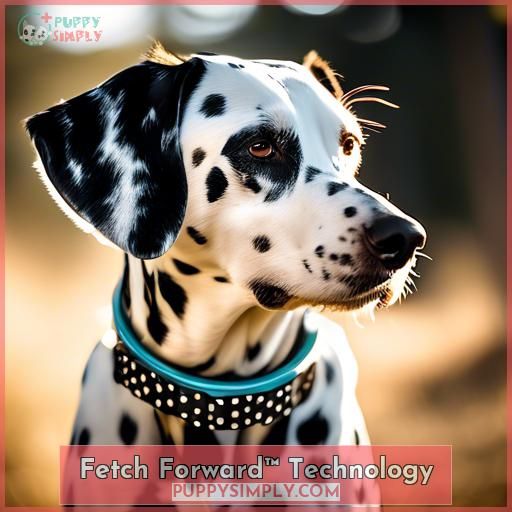 Fetch Forward™ Technology