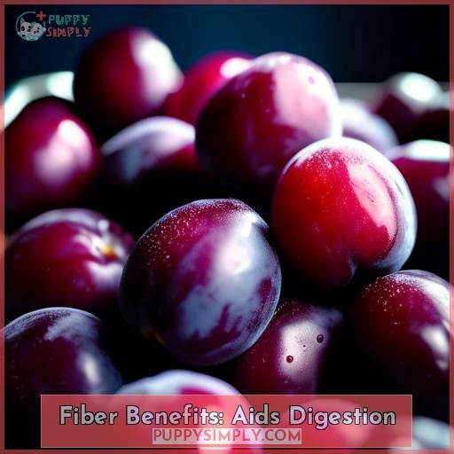 Fiber Benefits: Aids Digestion