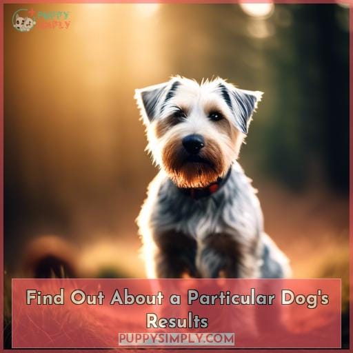Find Out About a Particular Dog