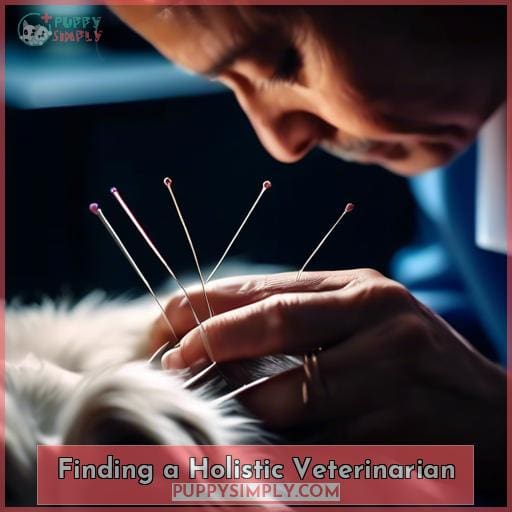 Finding a Holistic Veterinarian