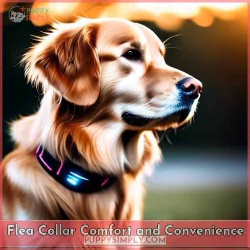 Flea Collar Comfort and Convenience