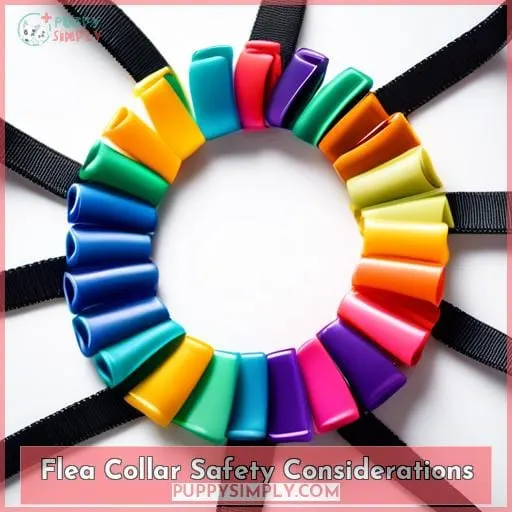 Flea Collar Safety Considerations