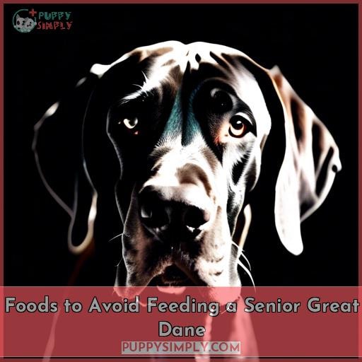 Foods to Avoid Feeding a Senior Great Dane