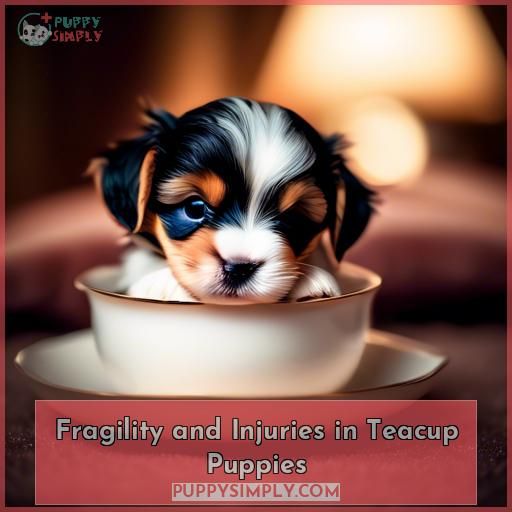 Fragility and Injuries in Teacup Puppies
