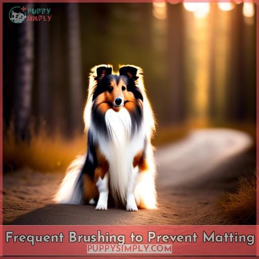 Frequent Brushing to Prevent Matting