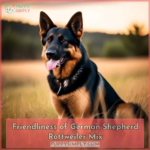 Friendliness of German Shepherd Rottweiler Mix
