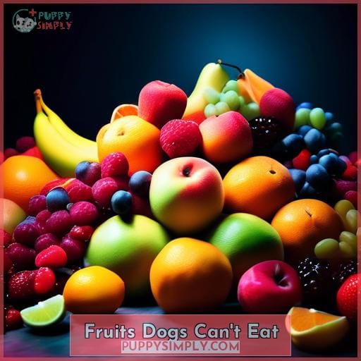 Fruits Dogs Can
