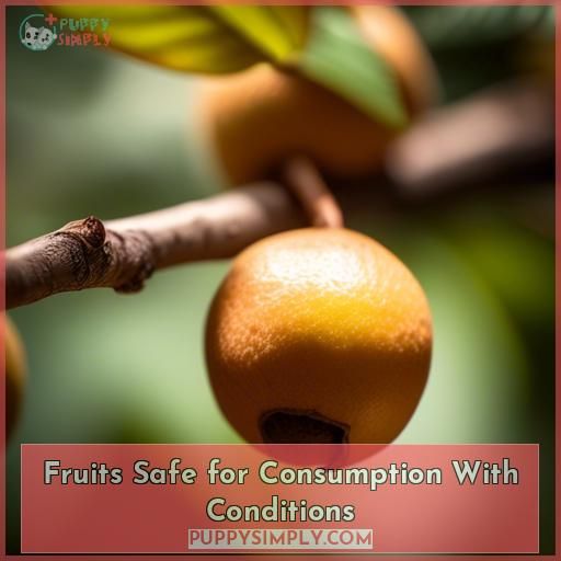 Fruits Safe for Consumption With Conditions