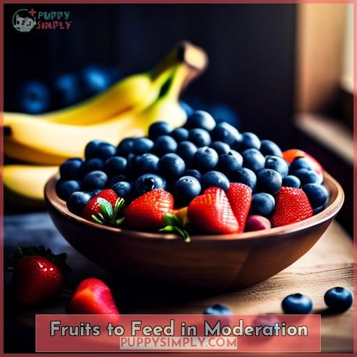 Fruits to Feed in Moderation