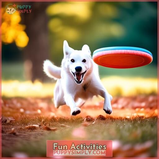 Fun Activities Fun Activities