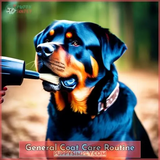 General Coat Care Routine