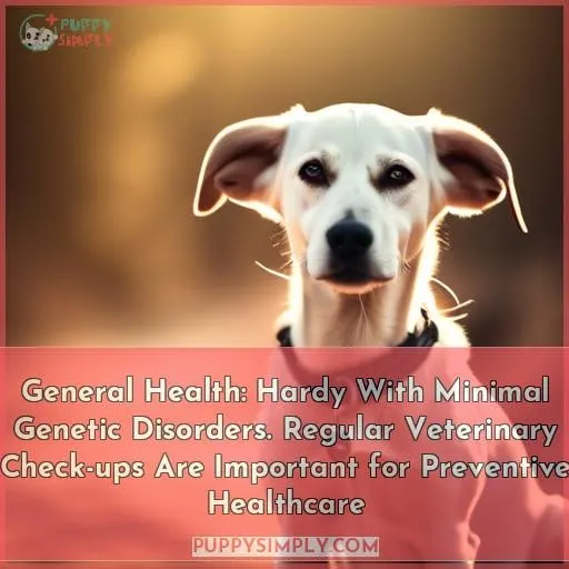 General Health: Hardy With Minimal Genetic Disorders. Regular Veterinary Check-ups Are Important for Preventive
