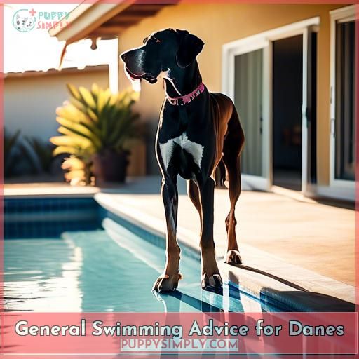 General Swimming Advice for Danes
