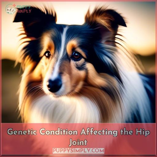Genetic Condition Affecting the Hip Joint