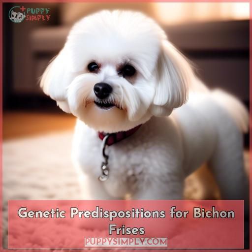 Genetic Predispositions for Bichon Frises