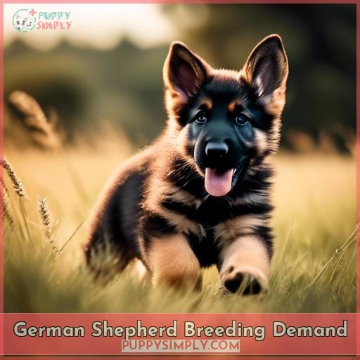 German Shepherd Breeding Demand