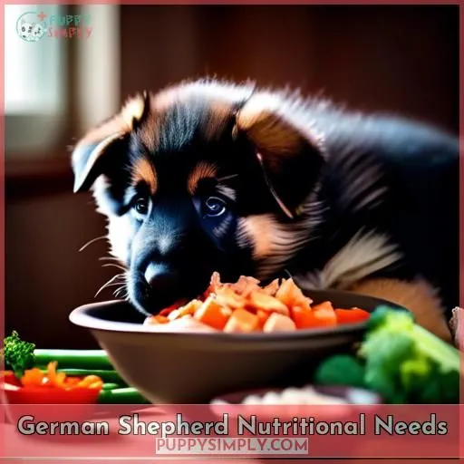 German Shepherd Nutritional Needs