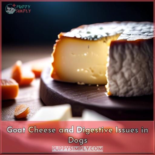 Goat Cheese and Digestive Issues in Dogs