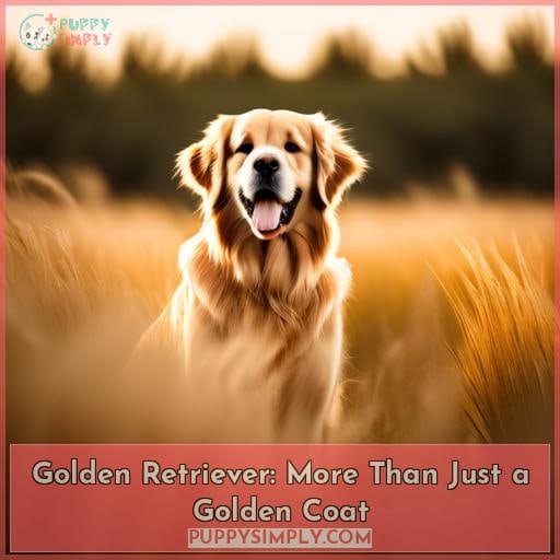 Golden Retriever: More Than Just a Golden Coat