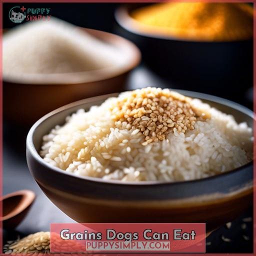 Grains Dogs Can Eat