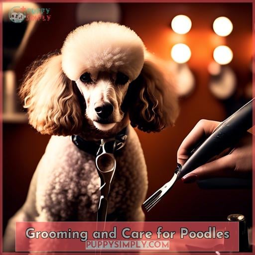 Grooming and Care for Poodles