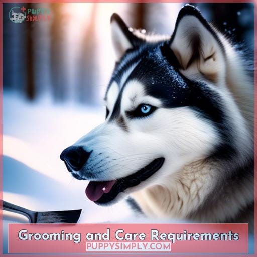 Grooming and Care Requirements