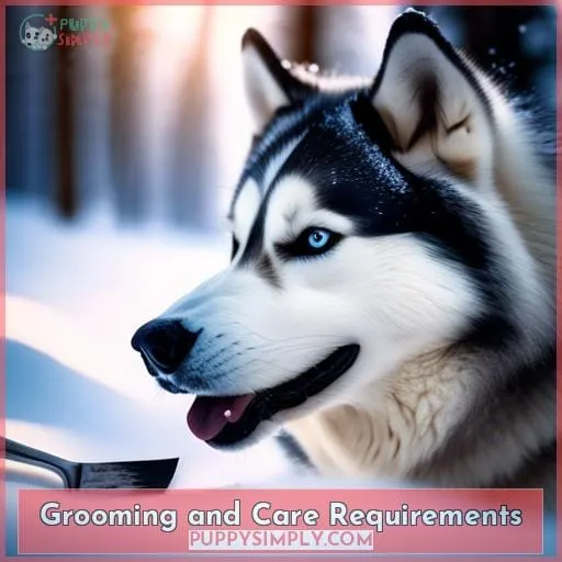Grooming and Care Requirements