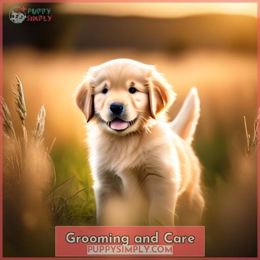 Grooming and Care