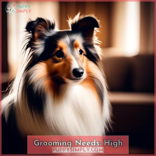 Grooming Needs: High