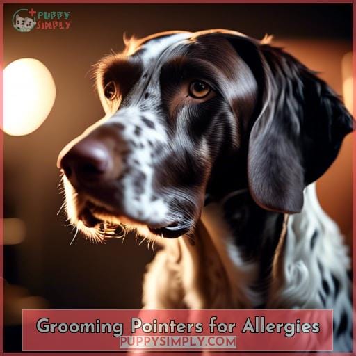 Grooming Pointers for Allergies Grooming Pointers for Allergies