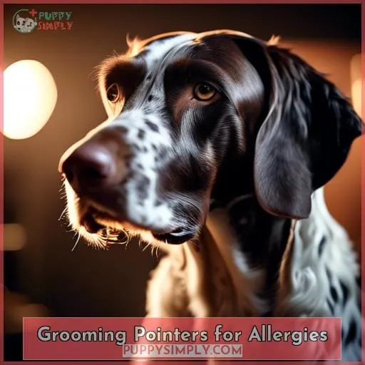 Grooming Pointers for Allergies