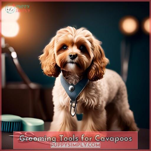 Grooming Tools for Cavapoos