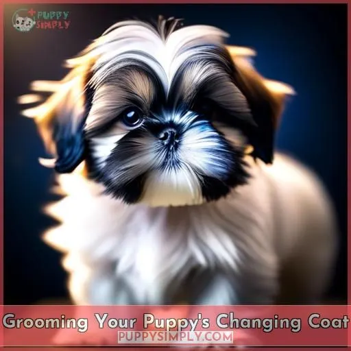 Grooming Your Puppy
