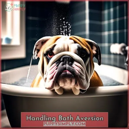 Handling Bath Aversion