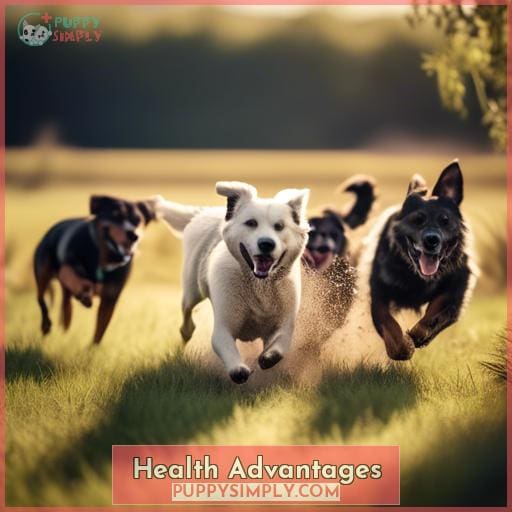 Health Advantages