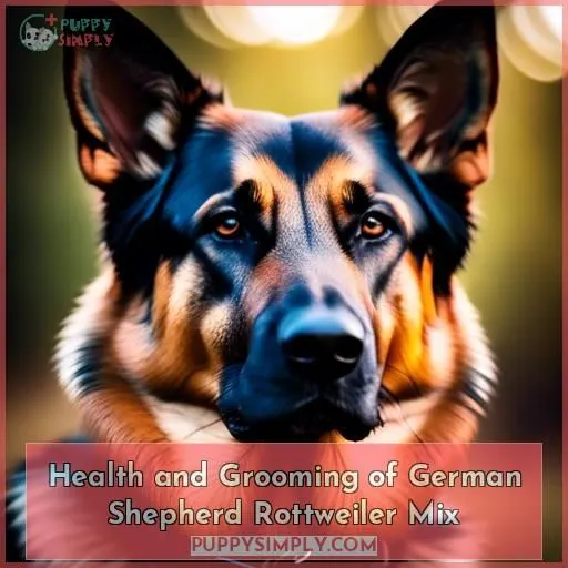 Health and Grooming of German Shepherd Rottweiler Mix