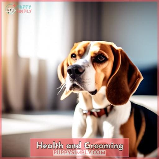 Health and Grooming