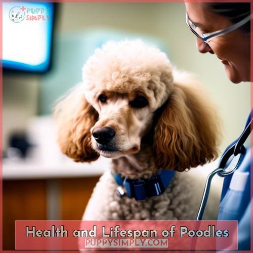 Health and Lifespan of Poodles