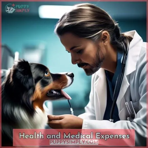 Health and Medical Expenses