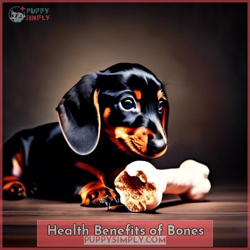 Health Benefits of Bones
